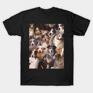 Australian Shepherds T-Shirt